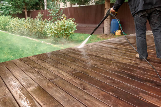 Best Soft Washing for Delicate Surfaces in Stewartville, MN